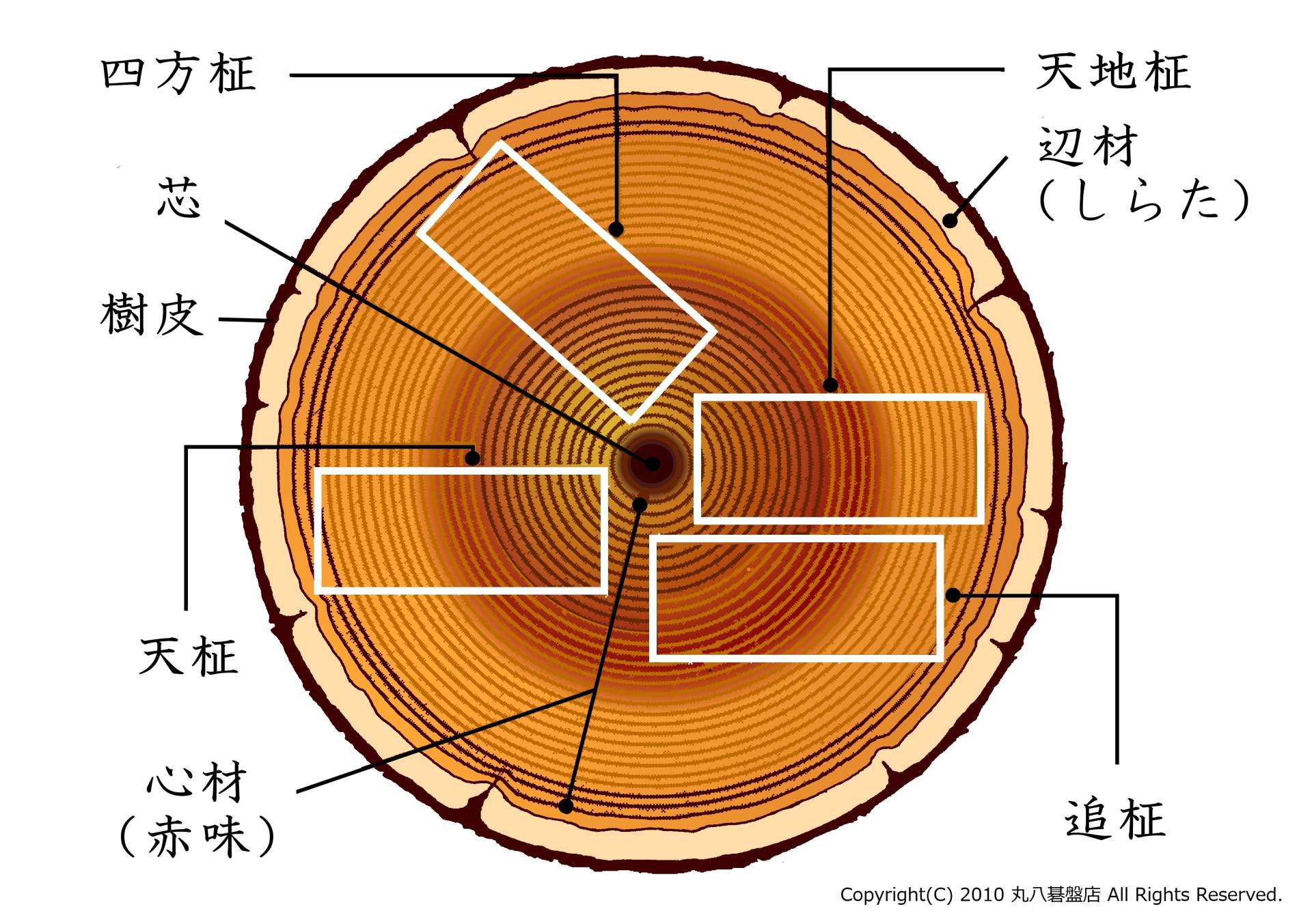 盤材の名称と木取り例