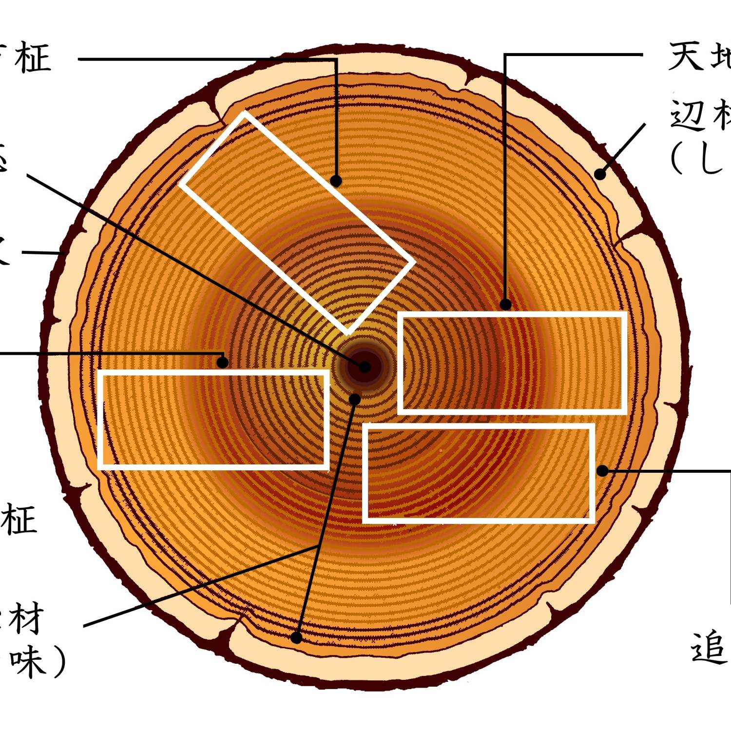 木取り例